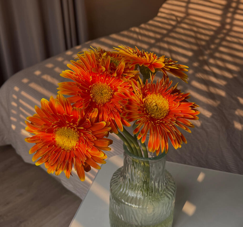 Neue Club Main Website “Neue Club youth culture community and magazine, covering art, pop culture, video games, psychology, and entertainment for young people.” “Neue Club logo and branding, creative collective focused on youth culture and community projects.” “Neue Club magaz